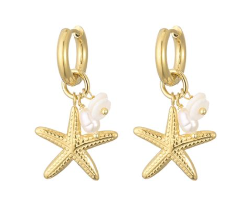 Oorbellen Zeesterren goud zomerse oorhangers dames | Coco & Co